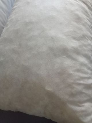 Dos Rellenos de cojín blanco de algodón