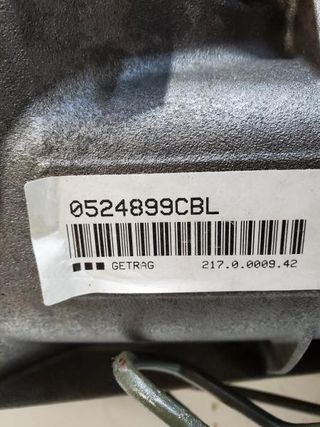 Caja cambios BMW 3 serie 2009