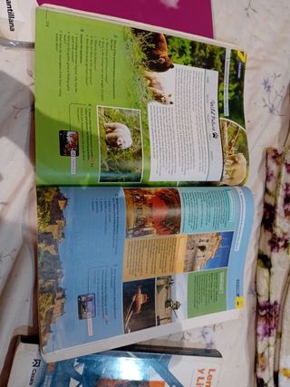 Lengua castellana y Literatura 1 BA LOMLOE