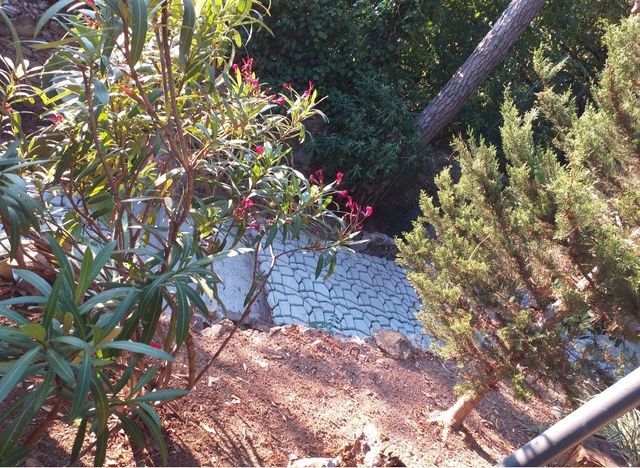 Stampo x cemento | Pavimentazione giardino