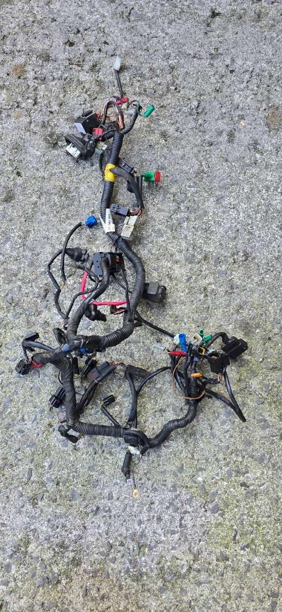 Cableado KTM Duke 125  Sin ABS
