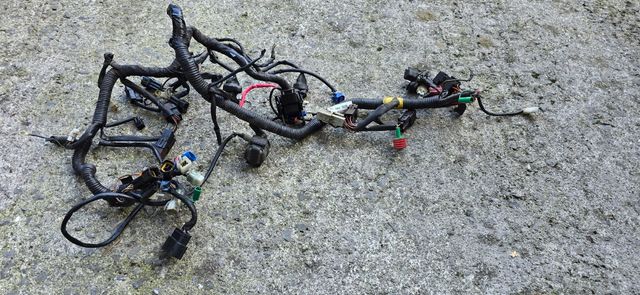 Cableado KTM Duke 125  Sin ABS