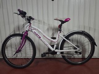 Bicicleta montaña 24"