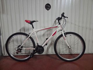 Bicicleta montaña 24"
