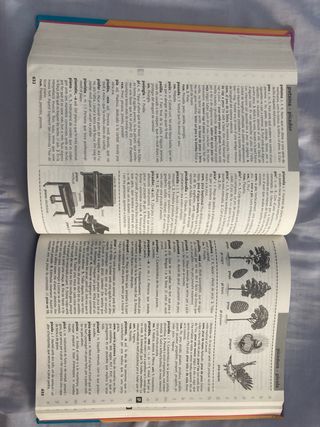 Diccionari d'ús del valencià (Catalan Edition)