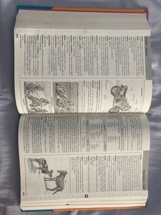 Diccionari d'ús del valencià (Catalan Edition)