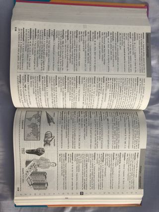 Diccionari d'ús del valencià (Catalan Edition)