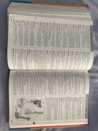 Diccionari d'ús del valencià (Catalan Edition)