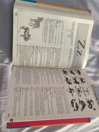 Diccionari d'ús del valencià (Catalan Edition)