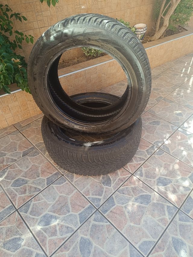 2 NEUMATICOS 4 SEASONS