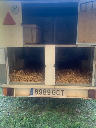 Remolque a medida para caza, espacio para perros..