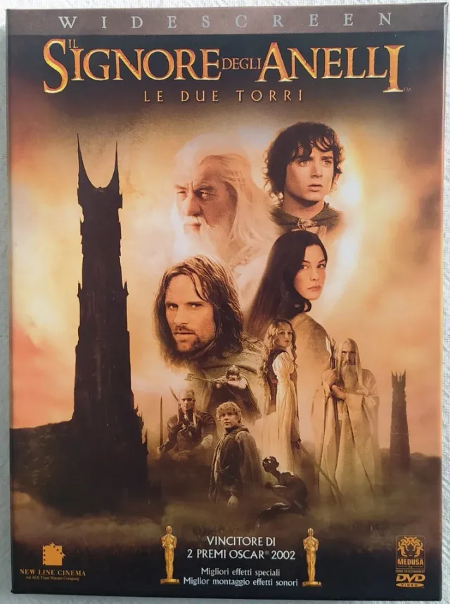Il Signore degli Anelli - DVD