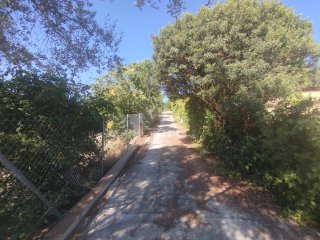 Parcela de riego: 2 casas, piscina 260 m2