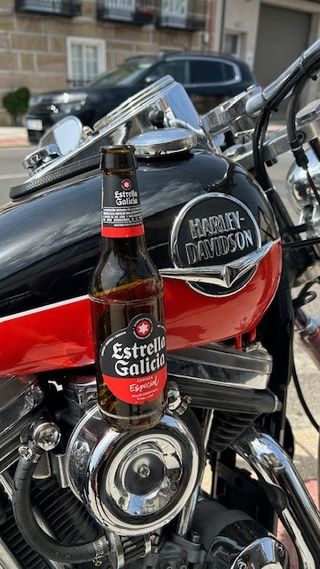 Harley Davidson XLH 883 Sportster