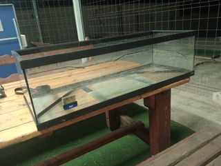 Terrario grande - Acuario.104×40×30 y  75×36×25. 