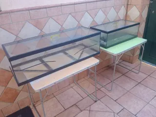 Terrarios grande - .104×40×30 y  75×36×25.