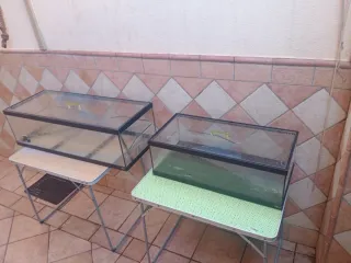 Terrarios grande - .104×40×30 y  75×36×25.