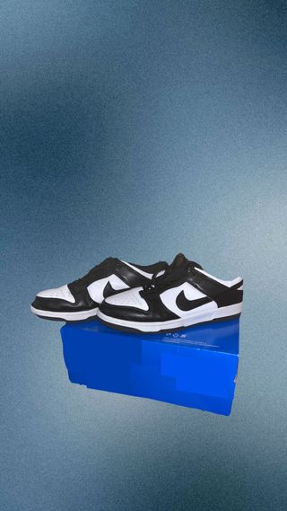 Nike Dunk Low Retro - Blanco y Negro