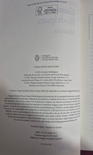 Gustavo Rodríguez: Mamita (novela).