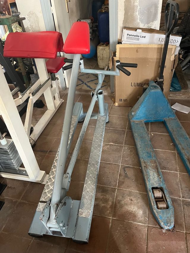 Remo en punta profesional 