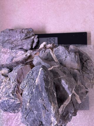 Decoración acuario: Madera y rocas