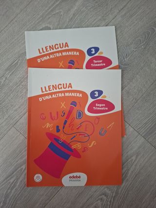 LLENGUA 3