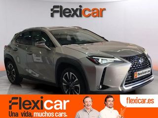 Lexus UX 2.0 250h Business