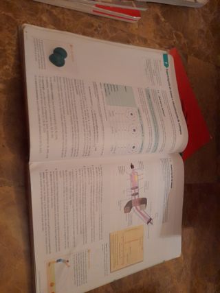 Física y química. 1 Bachillerato. Savia