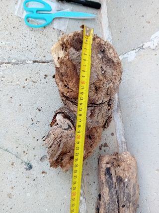 Legno decorativo acquario 60cm