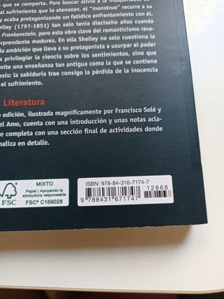 Frankenstein - Aula De Literatura (Spanish Edit...