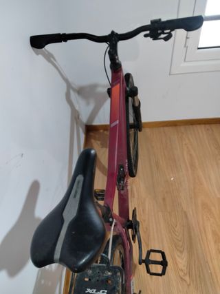 Bicicleta Riverside