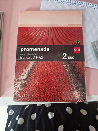 Cahier de français. 2 ESO. Promenade