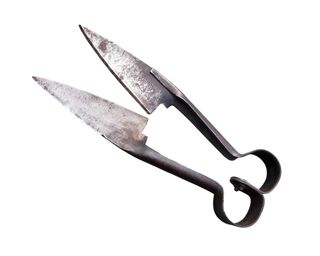 Tijeras esquilar ovejas antiguas