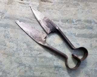 Tijeras esquilar ovejas antiguas