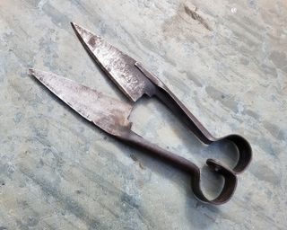 Tijeras esquilar ovejas antiguas
