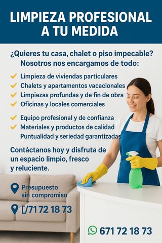 Limpieza profesional