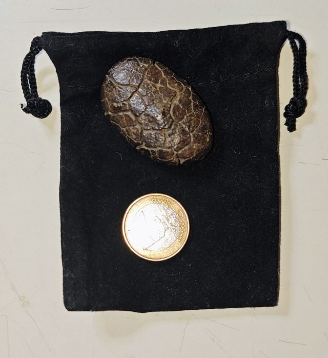 Tektita filipinita Rizalita 31grs