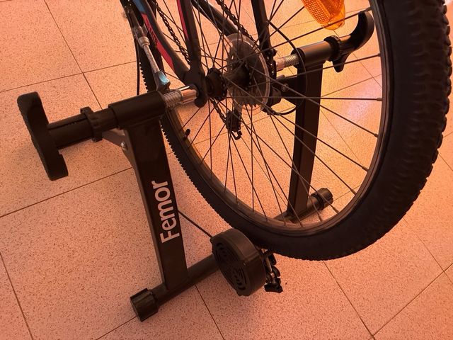 Rodillo Bicicleta Femor