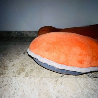 Cama para mascotas naranja