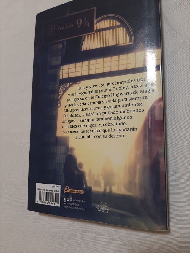 Harry Potter y la piedra filosofal (Harry Potte...