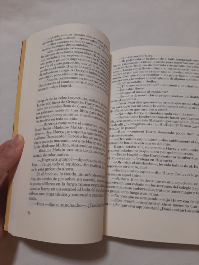 Harry Potter y la piedra filosofal (Harry Potte...