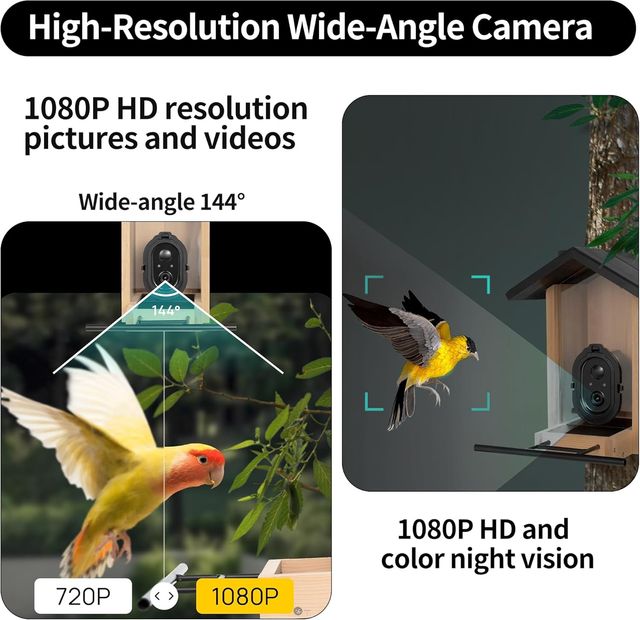 COMEDERO PÁJAROS SMART 3L CÁMARA VISIÓN NOCTURNA