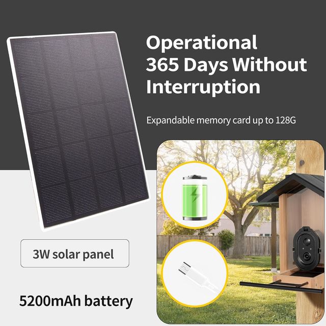 COMEDERO PÁJAROS SMART 3L CÁMARA VISIÓN NOCTURNA