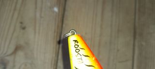 Esca da pesca - Minnow colorata