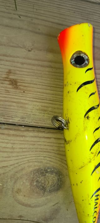 Esca da pesca - Minnow colorata