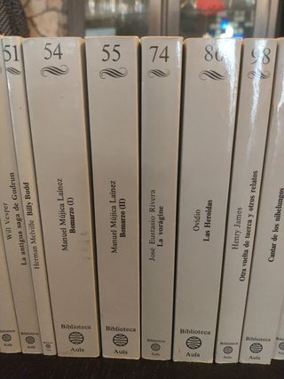 Lote de 27 libros clásicos de literatura universal