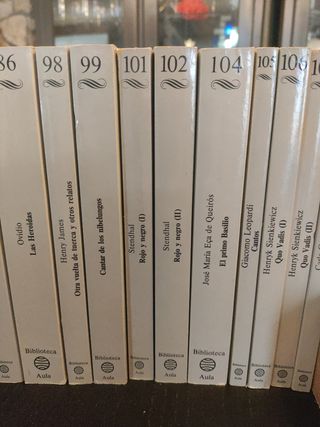 Lote de 27 libros clásicos de literatura universal