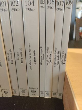 Lote de 27 libros clásicos de literatura universal