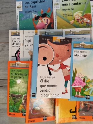 Colección de libros infantil/juvenil Barco de Vapo