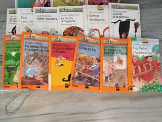 Colección de libros infantil/juvenil Barco de Vapo